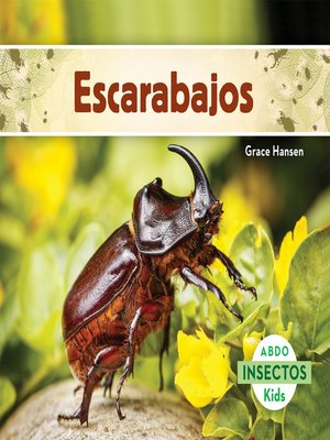 cover image of Escarabajos (Beetles) (Spanish Version)
